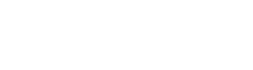 TopPay Logo